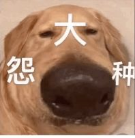 图片[4]-第四弹-Python课程-壹個不少